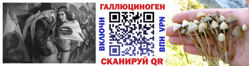 Купить где  Шелехов  Галлюциногенные грибы ЛСД 